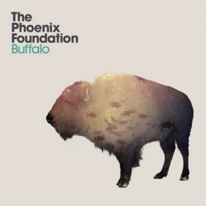 Phoenix Foundation Buffalo